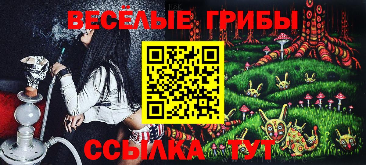 Галлюциногенные грибы Psilocybine cubensis Бор