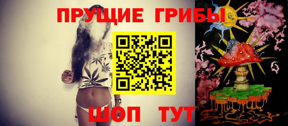 Бор  Псилоцибиновые грибы Psilocybine cubensis  магазин продажи   Псилоцибиновые грибы Cubensis  Вход с VPN 